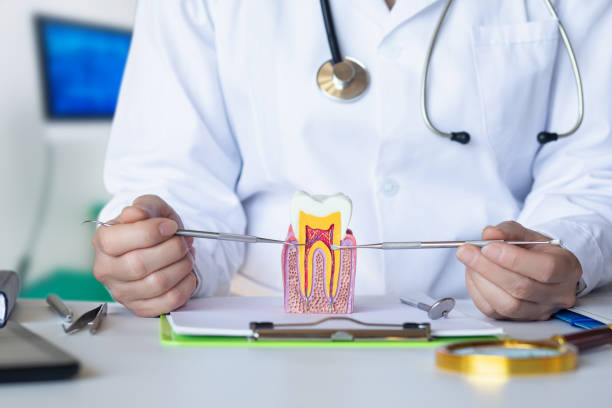 Best Emergency Wisdom Tooth Extraction in Piggott, AR